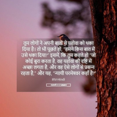 Picture 05 - मलाकी 2:17 HINIRV - तुम लोगों ने अपनी - Bible Verse Picture