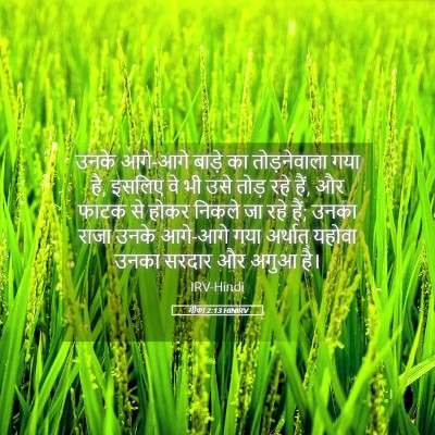 Picture 05 - मीका 2:13 HINIRV - उनके आगे-आगे बाड़े - Bible Verse Picture