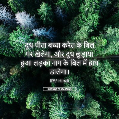 Picture 05 - यशायाह 11:8 HINIRV - दूध-पीता बच्चा - Bible Verse Picture