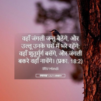 Picture 05 - यशायाह 13:21 HINIRV - वहाँ जंगली जन्तु - Bible Verse Picture