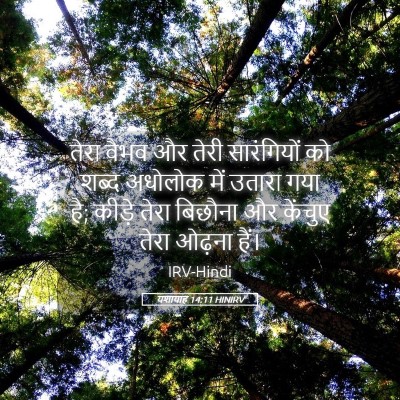 Picture 05 - यशायाह 14:11 HINIRV - तेरा वैभव और तेरी - Bible Verse Picture