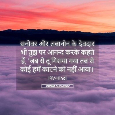 Picture 05 - यशायाह 14:8 HINIRV - सनोवर और लबानोन के - Bible Verse Picture