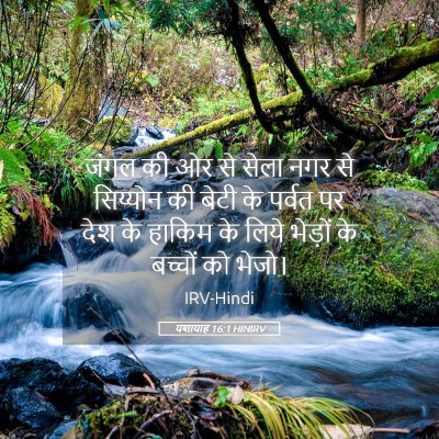 Picture 05 - यशायाह 16:1 HINIRV - जंगल की ओर से सेला - Bible Verse Picture
