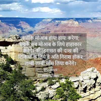 Picture 05 - यशायाह 16:7 HINIRV - क्योंकि मोआब हाय! - Bible Verse Picture