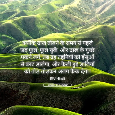 Picture 05 - यशायाह 18:5 HINIRV - क्योंकि दाख - Bible Verse Picture
