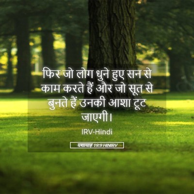 Picture 05 - यशायाह 19:9 HINIRV - फिर जो लोग धुने हुए - Bible Verse Picture