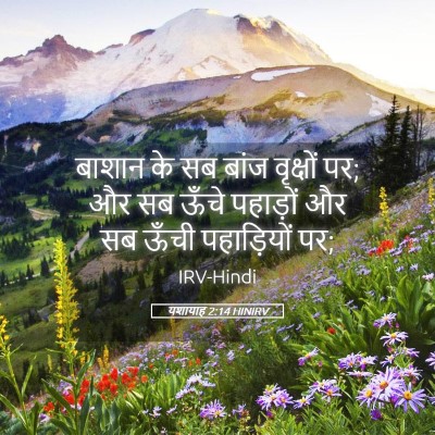 Picture 05 - यशायाह 2:14 HINIRV - बाशान के सब बांज - Bible Verse Picture