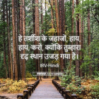 Picture 05 - यशायाह 23:14 HINIRV - हे तर्शीश के - Bible Verse Picture