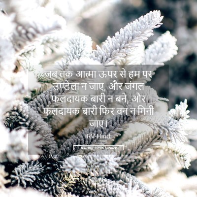 Picture 05 - यशायाह 32:15 HINIRV - जब तक आत्मा ऊपर से - Bible Verse Picture