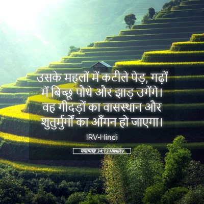 Picture 05 - यशायाह 34:13 HINIRV - उसके महलों में - Bible Verse Picture