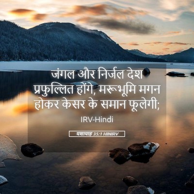 Picture 05 - यशायाह 35:1 HINIRV - जंगल और निर्जल देश - Bible Verse Picture