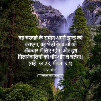 Picture 05 - यशायाह 40:11 HINIRV - वह चरवाहे के समान - Bible Verse Picture