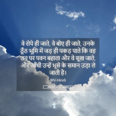 Picture 05 - यशायाह 40:24 HINIRV - वे रोपे ही जाते, वे - Bible Verse Picture