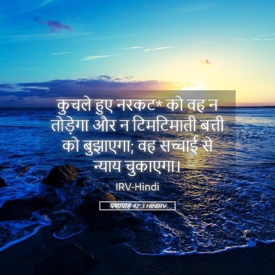 Picture 05 - यशायाह 42:3 HINIRV - कुचले हुए नरकट* को - Bible Verse Picture