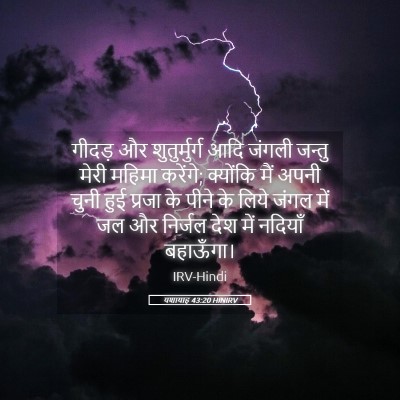 Picture 05 - यशायाह 43:20 HINIRV - गीदड़ और - Bible Verse Picture