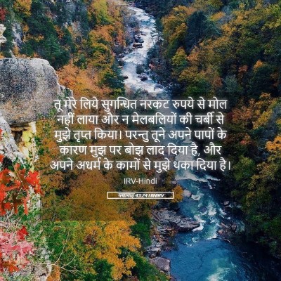 Picture 05 - यशायाह 43:24 HINIRV - तू मेरे लिये - Bible Verse Picture