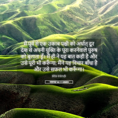 Picture 05 - यशायाह 46:11 HINIRV - मैं पूर्व से एक - Bible Verse Picture