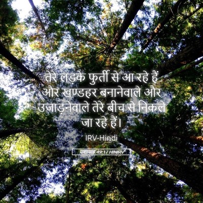 Picture 05 - यशायाह 49:17 HINIRV - तेरे लड़के फुर्ती - Bible Verse Picture