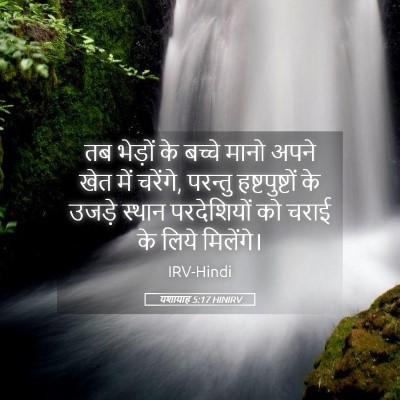 Picture 05 - यशायाह 5:17 HINIRV - तब भेड़ों के बच्चे - Bible Verse Picture