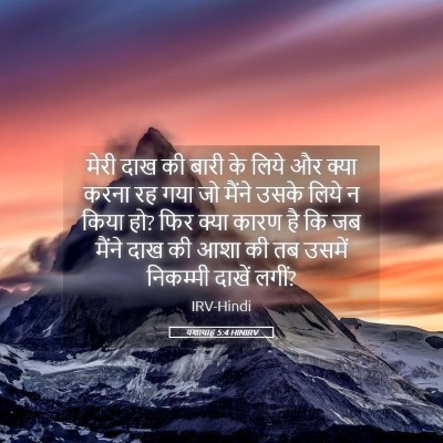 Picture 05 - यशायाह 5:4 HINIRV - मेरी दाख की बारी के - Bible Verse Picture