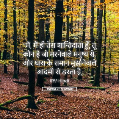 Picture 05 - यशायाह 51:12 HINIRV - “मैं, मैं ही तेरा - Bible Verse Picture