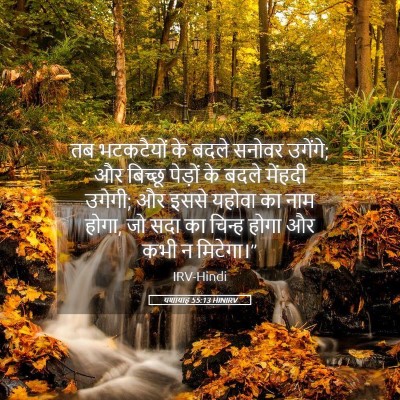 Picture 05 - यशायाह 55:13 HINIRV - तब भटकटैयों के - Bible Verse Picture
