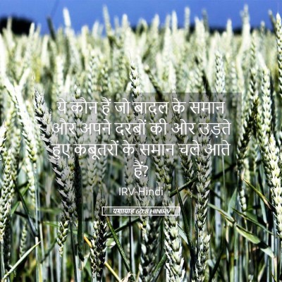 Picture 05 - यशायाह 60:8 HINIRV - ये कौन हैं जो बादल - Bible Verse Picture