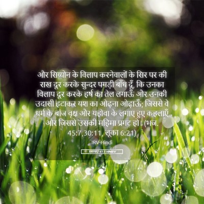 Picture 05 - यशायाह 61:3 HINIRV - और सिय्योन के - Bible Verse Picture
