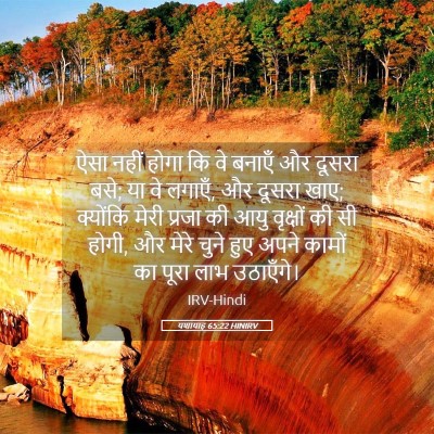 Picture 05 - यशायाह 65:22 HINIRV - ऐसा नहीं होगा कि वे - Bible Verse Picture