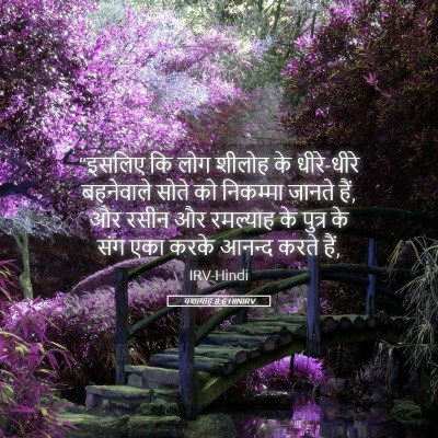 Picture 05 - यशायाह 8:6 HINIRV - “इसलिए कि लोग - Bible Verse Picture