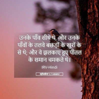 Picture 05 - यहेजकेल 1:7 HINIRV - उनके पाँव सीधे थे, - Bible Verse Picture