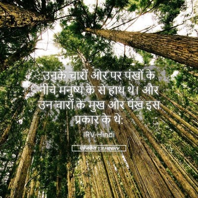 Picture 05 - यहेजकेल 1:8 HINIRV - उनके चारों ओर पर - Bible Verse Picture