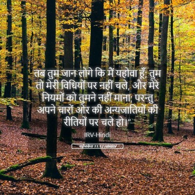 Picture 05 - यहेजकेल 11:12 HINIRV - तब तुम जान लोगे कि - Bible Verse Picture