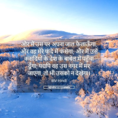 Picture 05 - यहेजकेल 12:13 HINIRV - और मैं उस पर अपना - Bible Verse Picture