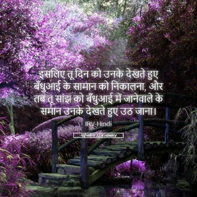 Picture 05 - यहेजकेल 12:4 HINIRV - इसलिए तू दिन को - Bible Verse Picture