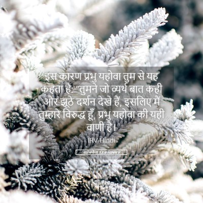 Picture 05 - यहेजकेल 13:8 HINIRV - इस कारण प्रभु - Bible Verse Picture