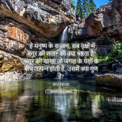 Picture 05 - यहेजकेल 15:2 HINIRV - “हे मनुष्य के - Bible Verse Picture
