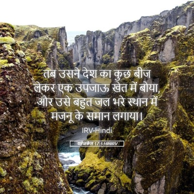 Picture 05 - यहेजकेल 17:5 HINIRV - तब उसने देश का कुछ - Bible Verse Picture