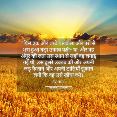 Picture 05 - यहेजकेल 17:7 HINIRV - “फिर एक और लम्बे - Bible Verse Picture