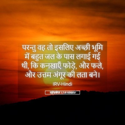 Picture 05 - यहेजकेल 17:8 HINIRV - परन्तु वह तो इसलिए - Bible Verse Picture