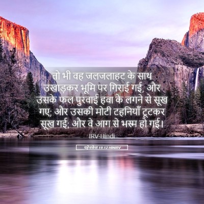 Picture 05 - यहेजकेल 19:12 HINIRV - तो भी वह जलजलाहट के - Bible Verse Picture