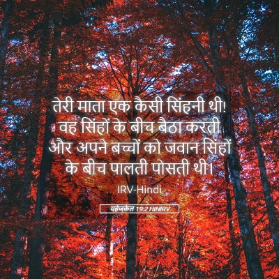 Picture 05 - यहेजकेल 19:2 HINIRV - तेरी माता एक कैसी - Bible Verse Picture