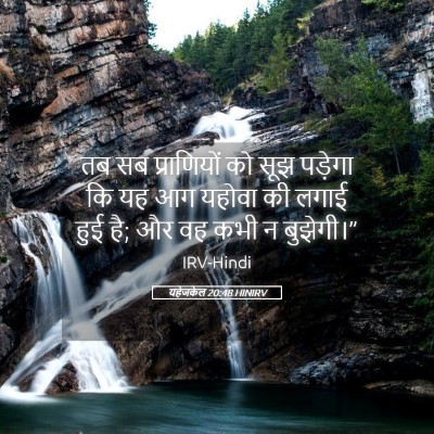 Picture 05 - यहेजकेल 20:48 HINIRV - तब सब प्राणियों को - Bible Verse Picture