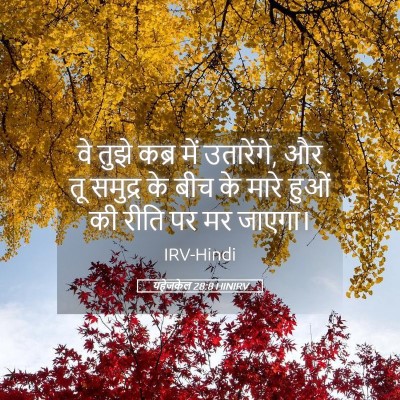 Picture 05 - यहेजकेल 28:8 HINIRV - वे तुझे कब्र में - Bible Verse Picture