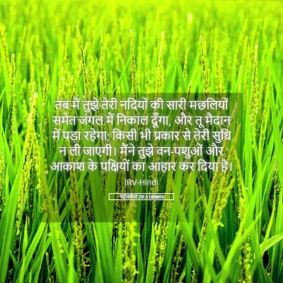 Picture 05 - यहेजकेल 29:5 HINIRV - तब मैं तुझे तेरी - Bible Verse Picture