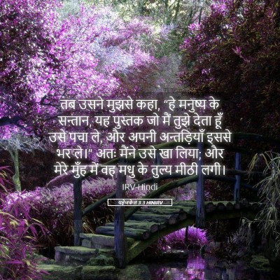 Picture 05 - यहेजकेल 3:3 HINIRV - तब उसने मुझसे कहा, - Bible Verse Picture