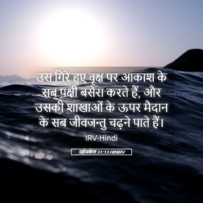 Picture 05 - यहेजकेल 31:13 HINIRV - उस गिरे हुए वृक्ष - Bible Verse Picture