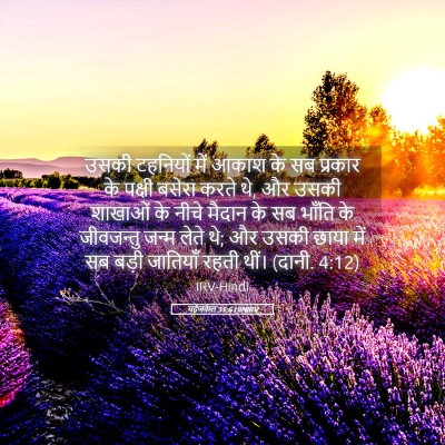 Picture 05 - यहेजकेल 31:6 HINIRV - उसकी टहनियों में - Bible Verse Picture