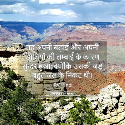 Picture 05 - यहेजकेल 31:7 HINIRV - वह अपनी बड़ाई और - Bible Verse Picture