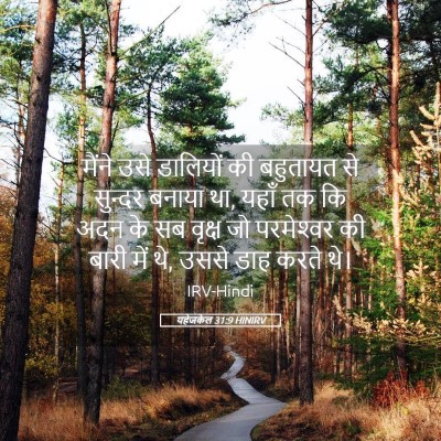 Picture 05 - यहेजकेल 31:9 HINIRV - मैंने उसे डालियों - Bible Verse Picture